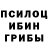Галлюциногенные грибы MAGIC MUSHROOMS TGN2