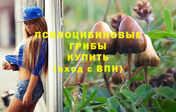 шишки Волосово