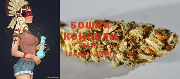 шишки Волосово