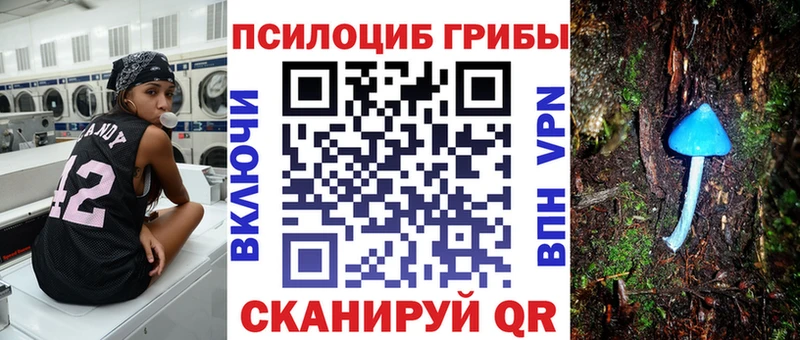 Галлюциногенные грибы прущие грибы  Зея 